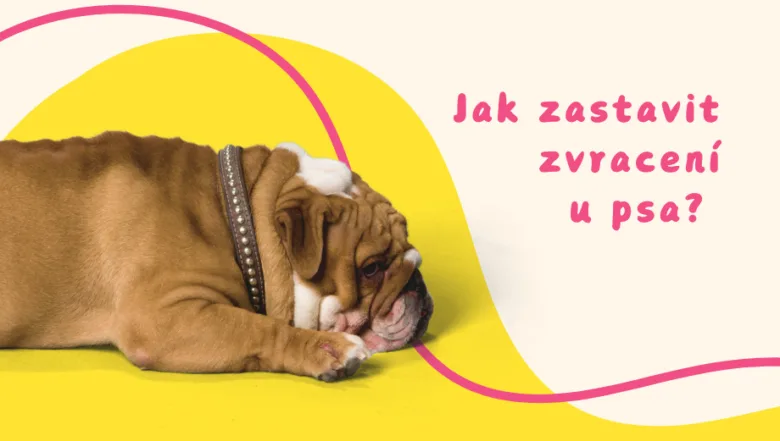 Spící štěně buldoka leží na žlutém pozadí s českým nápisem.