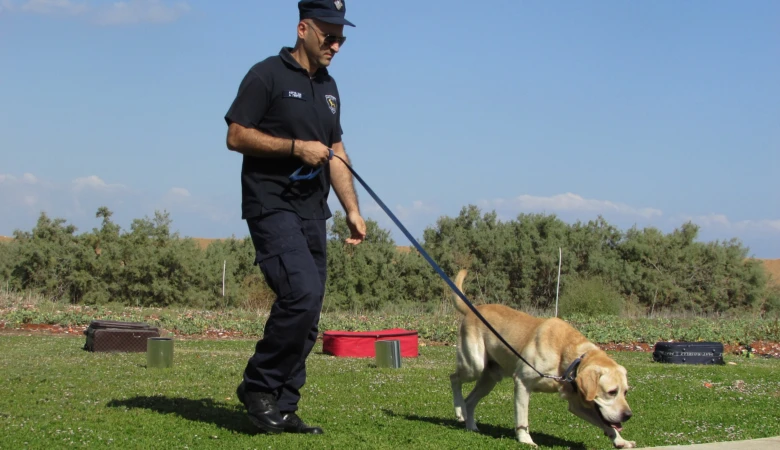 Policiista s psem při cvičení na trávníku.