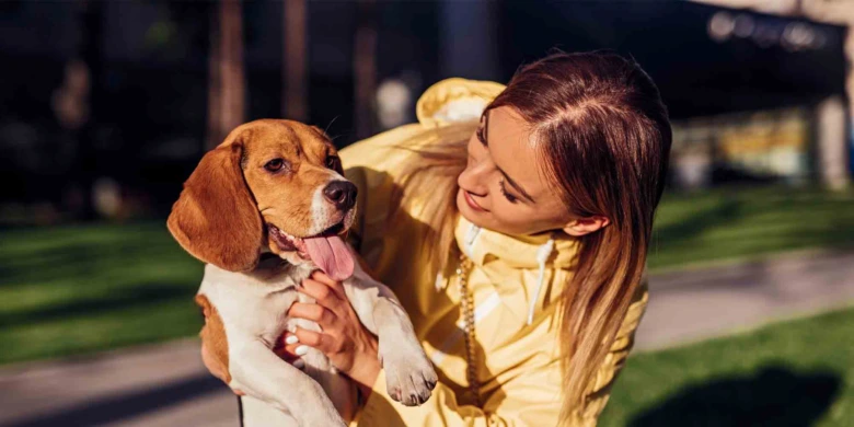 Žena drží štěně beagla venku na slunci.