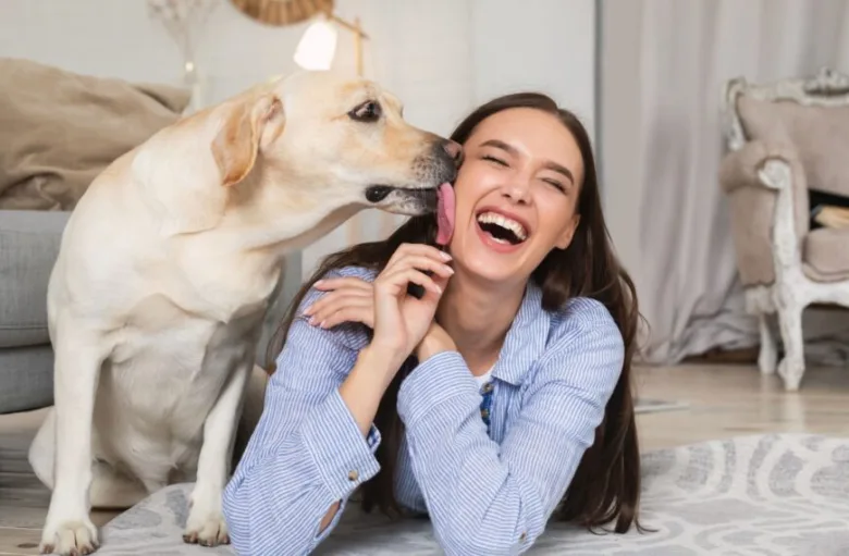Žlutý labrador mlaská do tváře šťastné ženy na podlaze.