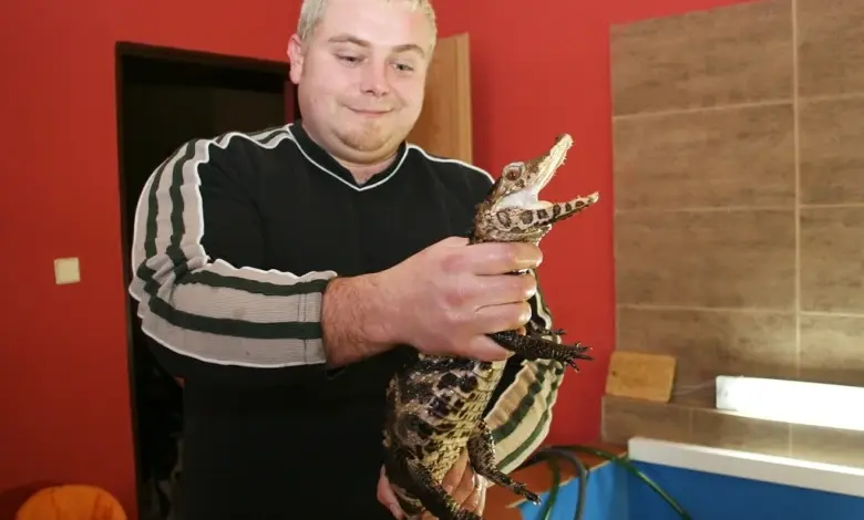 Muž drží malého kajmana s otevřenou tlamou v interiéru.
