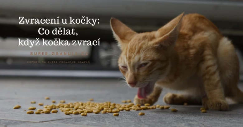 Oranžová kočka zvrací suché granule na chodníku.