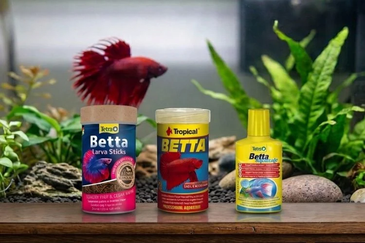 Tři produkty pro krmení ryby betta v akváriu s rostlinami.