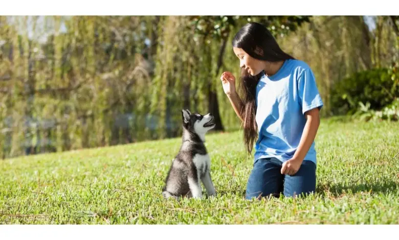 Girl training puppy outdoors