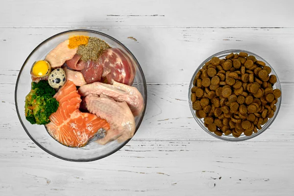 Surovina pro psí stravu a suché granulované jídlo v miskách.