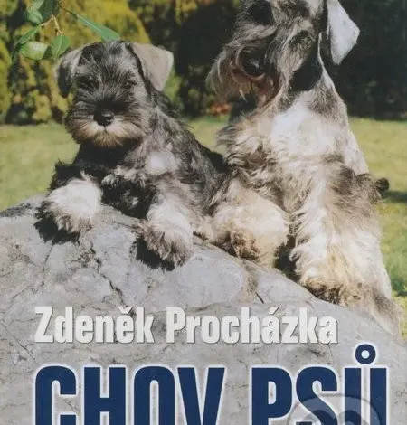 Dva šnauerové psi sedící na skále venku.