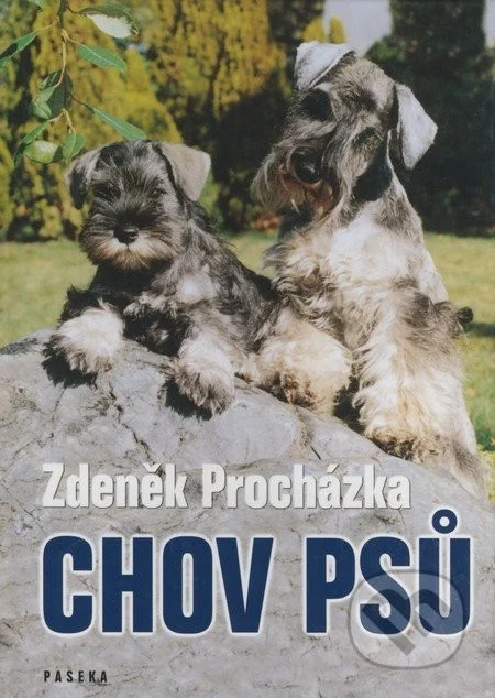 Dva šnauerové psi sedící na skále venku.