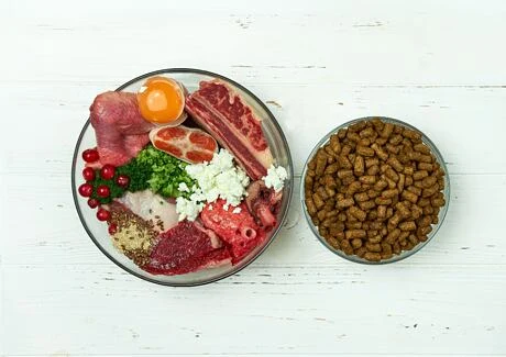 Surovina pro syrové jídlo psa: maso, vejce, zelenina.